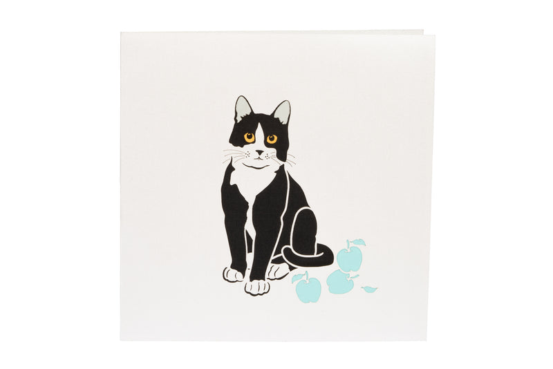 Black and White Cat Pop Up Card