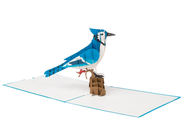 Blue Jay Bird Pop Up Card