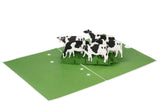 Dairy Cows Pop Up Card