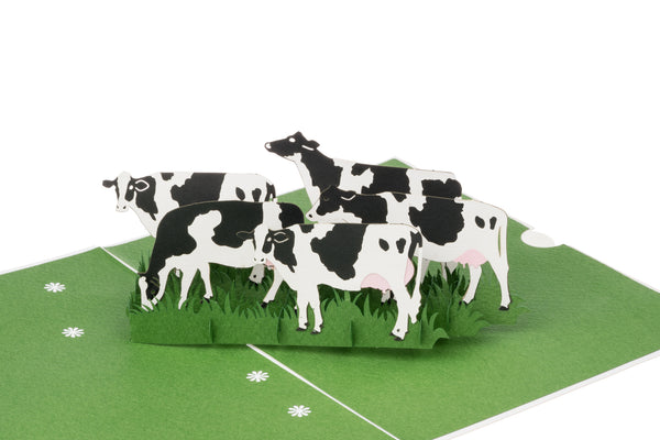 Dairy Cows Pop Up Card