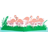 Flamingo Pop Up Card