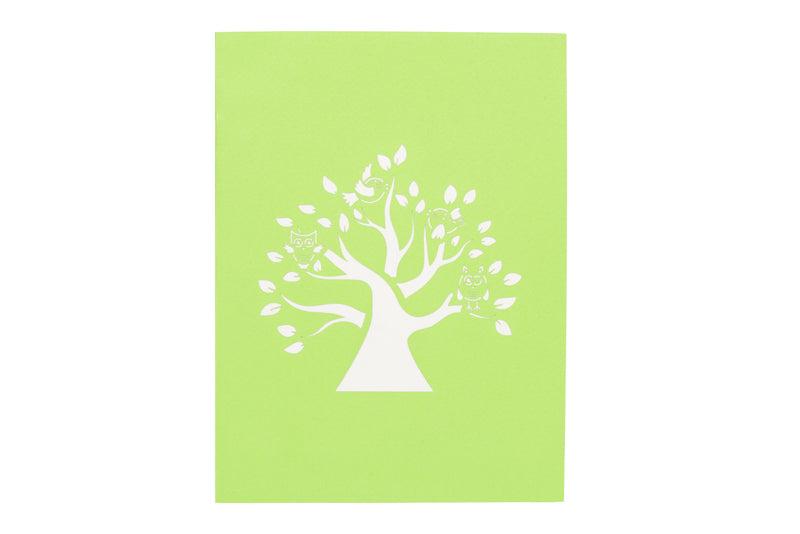 Spring Birds Pop Up Card